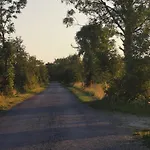 Raenduri Pesa Paiveli Koplis Camping *