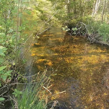 Paiveli Kopli Ratastel Maja Ja Tuennisaun *