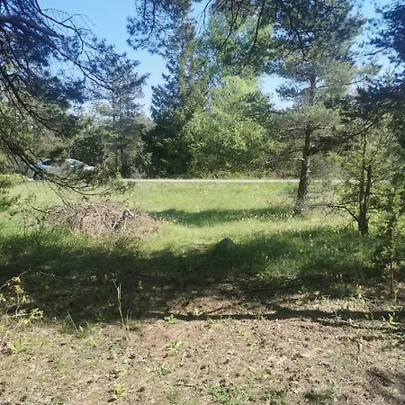 Campsite Paiveli Kopli Ratastel Maja Ja Tuennisaun Mustjala