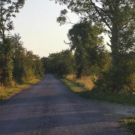 Campsite Paiveli Kopli Ratastel Maja Ja Tuennisaun