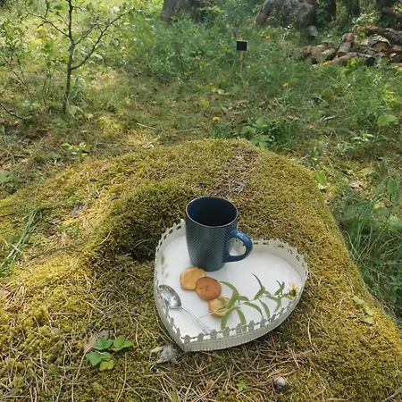 Campsite Paiveli Kopli Ratastel Maja Ja Tuennisaun *
