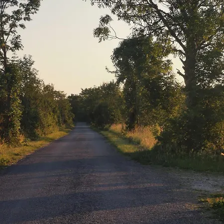 Paiveli Kopli Ratastel Maja Ja Tuennisaun キャンプ場 *