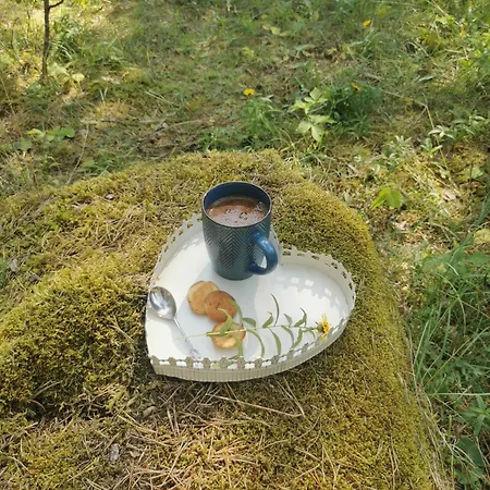 Raenduri Pesa Paiveli Koplis