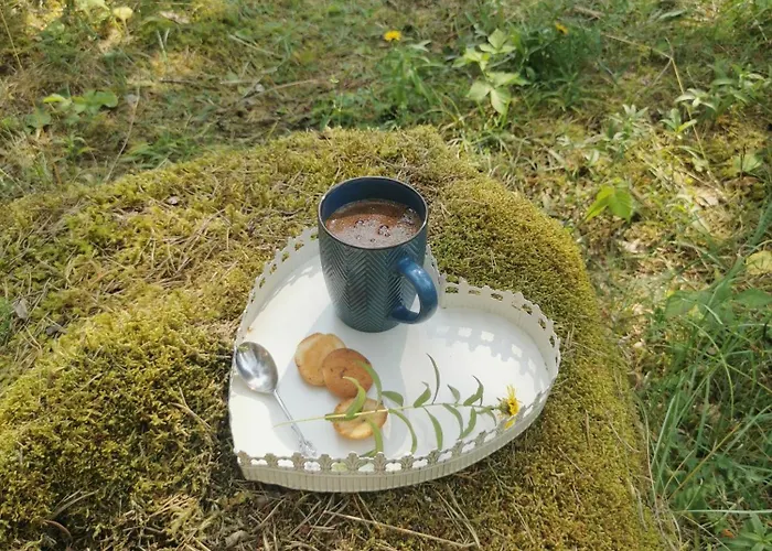 Raenduri Pesa Paiveli Koplis